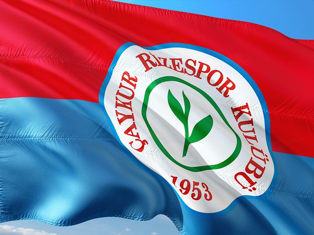 拥有一条稳 拥有一条稳