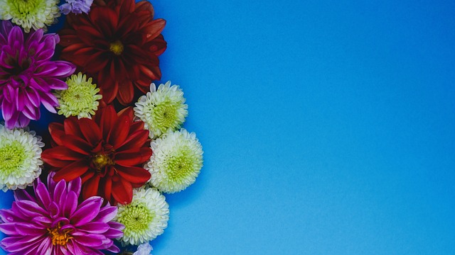 不畏强敌的 不畏强敌的