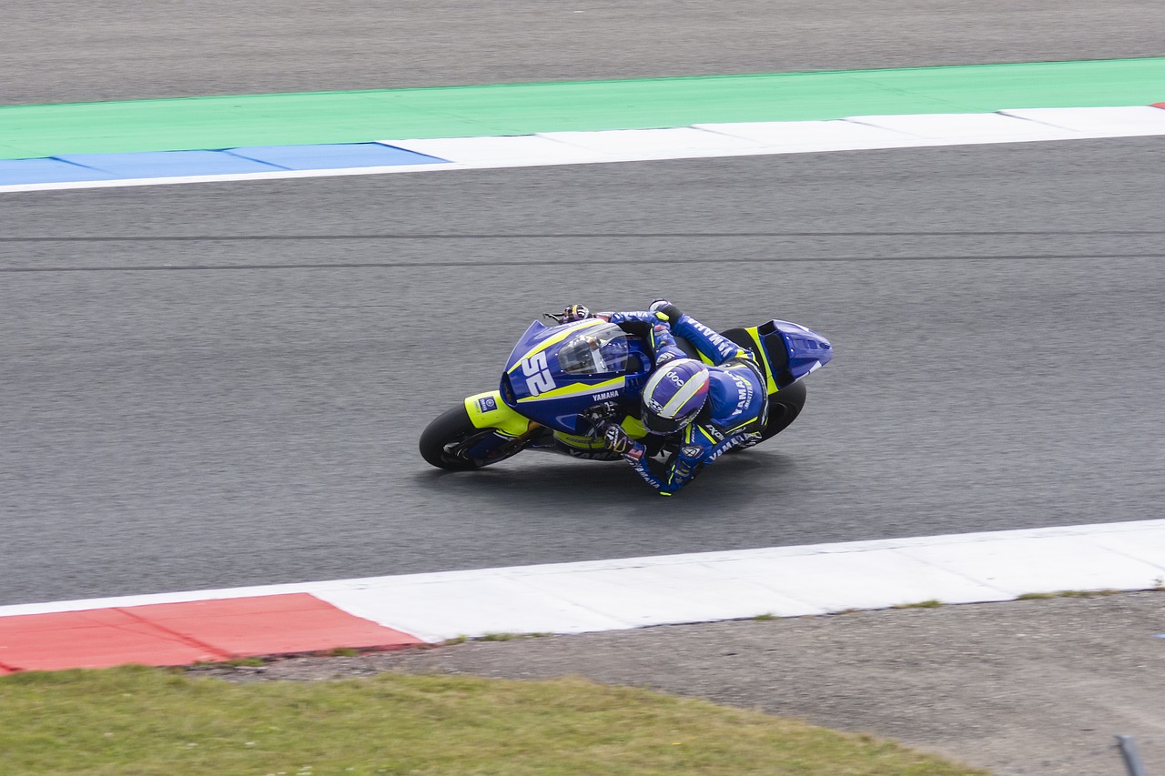 都是荣誉与 都是荣誉与