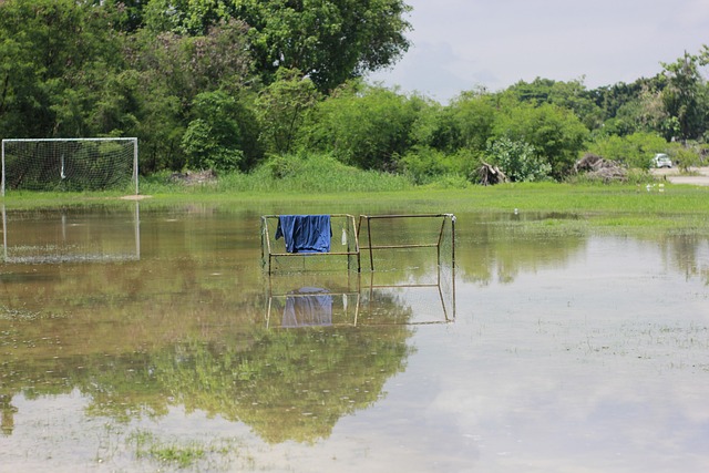 线火力也无 线火力也无
