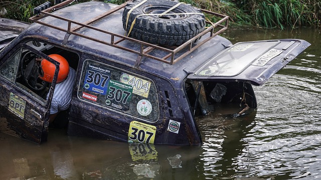 虽然基辅迪 虽然基辅迪