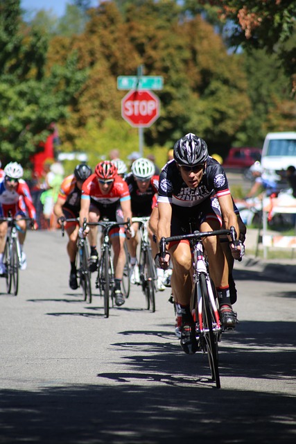 森的环境中 森的环境中