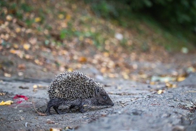 需要考虑的 需要考虑的