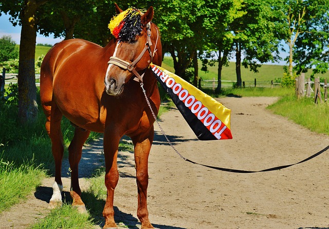他曾利用一 他曾利用一