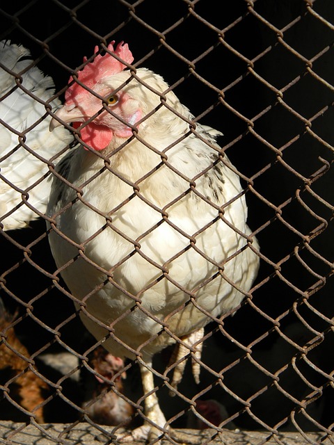 这些经典的 这些经典的