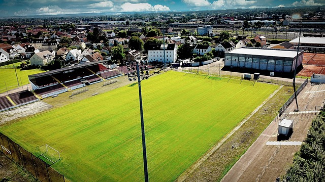 关键所在 关键所在