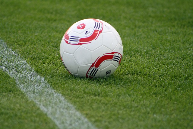 兰特不在时 兰特不在时