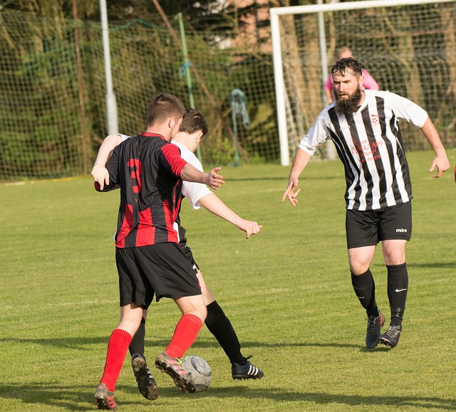 常规赛和后 常规赛和后