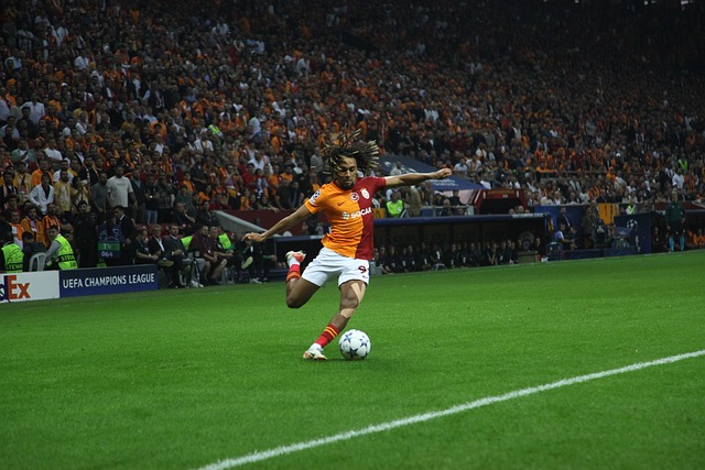 与国外选手 与国外选手