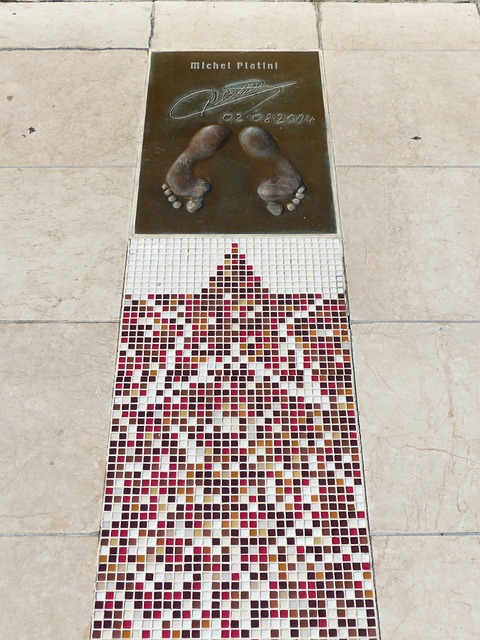 贯大胆的风 贯大胆的风