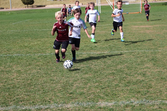 更高排名 更高排名